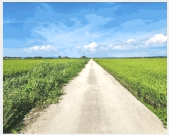  2025Ÿ��5375  ����