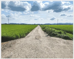  2025Ÿ��5375  ����