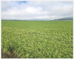  2025Ÿ��5375  ����