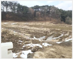  2025Ÿ30265  ϱ ȿ 67-5       ()