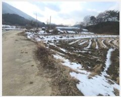  2025Ÿ30265  ϱ ȿ 67-5       ()