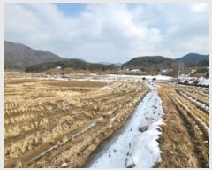  2025Ÿ30265  ϱ ȿ 67-5       ()