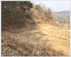  2025Ÿ30265  ϱ ȿ 67-5       ()