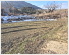  2025Ÿ30265  ϱ ȿ 67-5       ()