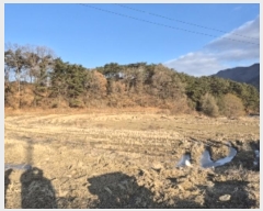  2025Ÿ30265  ϱ ȿ 67-5       ()