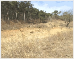  2025Ÿ��32019 ���� ��� ����� ���ݸ� ��19-18      ����(�Ӿ�)���