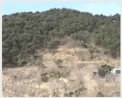  2025Ÿ��32019 ���� ��� ����� ���ݸ� ��19-18      ����(�Ӿ�)���