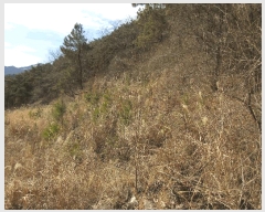  2025Ÿ��32019 ���� ��� ����� ���ݸ� ��19-18      ����(�Ӿ�)���