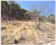  2025Ÿ��32019 ���� ��� ����� ���ݸ� ��19-18      ����(�Ӿ�)���