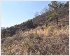  2025Ÿ��32019 ���� ��� ����� ���ݸ� ��19-18      ����(�Ӿ�)���