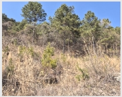  2025Ÿ��32019 ���� ��� ����� ���ݸ� ��19-18      ����(�Ӿ�)���