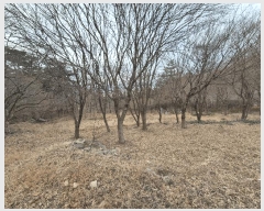  2025Ÿ��32046 ���� ȭ���� ȭ���� ��õ�� 2-4      ����(��1)���