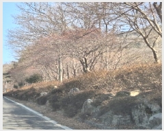  2025Ÿ��32046 ���� ȭ���� ȭ���� ��õ�� 2-4      ����(��1)���