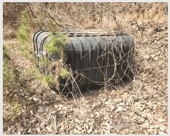  2025Ÿ32222  ֽ ٵ ̸ 124-1      (Ӿ)