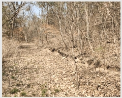  2025Ÿ32222  ֽ ٵ ̸ 124-1      (Ӿ)