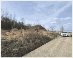  2025Ÿ32355   嵿 513       (1)