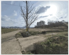  2025Ÿ32355   嵿 513       (1)