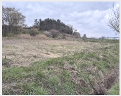  2025Ÿ32355   嵿 513       (1)