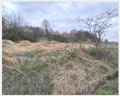  2025Ÿ32355   嵿 513       (1)