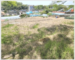  2025Ÿ32598  걸 赿 1052       ()