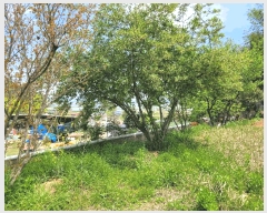  2025Ÿ32598  걸 赿 1052       ()