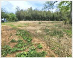  2025Ÿ32598  걸 赿 1052       ()