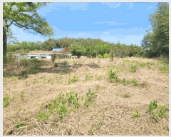  2025Ÿ32598  걸 赿 1052       ()