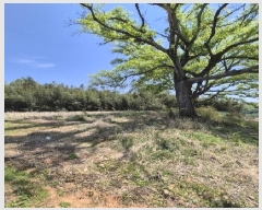  2025Ÿ32598  걸 赿 1052       ()