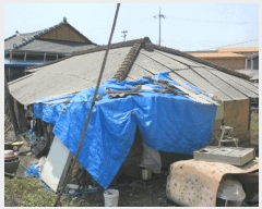  2025Ÿ��32686  ���ð��