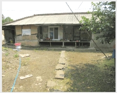  2025Ÿ��32686  ���ð��