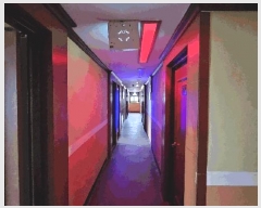  2025Ÿ��32775 ���� ���ֽ� �ۿ��� 1093-2       ���ڽü�,����,ȣ��,�������