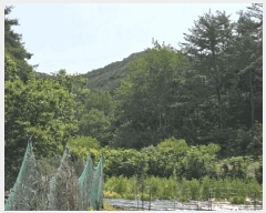  2025Ÿ��32837 ���� ȭ���� ����� ��ȭ�� ��2-3      ����(�Ӿ�)���