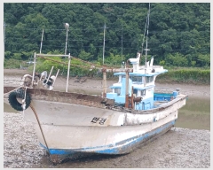  2025Ÿ��32934 ���� ������ ������ ����� 95 (�����)     ���ڰ��