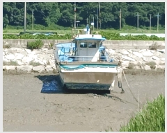  2025Ÿ��32934 ���� ������ ������ ����� 95 (�����)     ���ڰ��