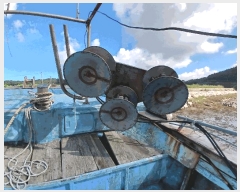  2025Ÿ��32934 ���� ������ ������ ����� 95 (�����)     ���ڰ��