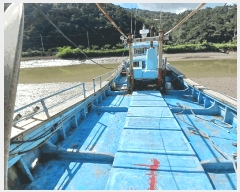  2025Ÿ��32934 ���� ������ ������ ����� 95 (�����)     ���ڰ��