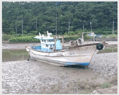  2025Ÿ��32934 ���� ������ ������ ����� 95 (�����)     ���ڰ��