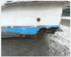  2025Ÿ��32934 ���� ������ ������ ����� 95 (�����)     ���ڰ��