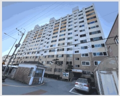  2025Ÿ��34024 ���� ���걸 ���̵� 455 �۱���ũ�Ǽ� 202�� 12��1305ȣ    ����Ʈ���