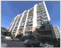  2025Ÿ��34024 ���� ���걸 ���̵� 455 �۱���ũ�Ǽ� 202�� 12��1305ȣ    ����Ʈ���