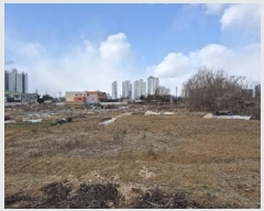  2025Ÿ462  ϱ ſ뵿 477-8       ()