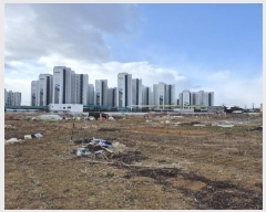  2025Ÿ462  ϱ ſ뵿 477-8       ()