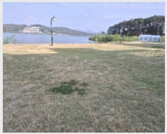  2025Ÿ2185  强 Ｍ 縮 308-12      ð