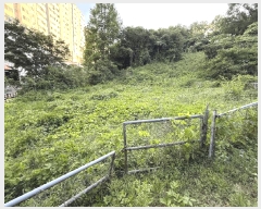  2025Ÿ��3577  ����