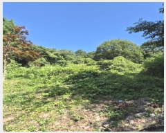  2025Ÿ��3577  ����