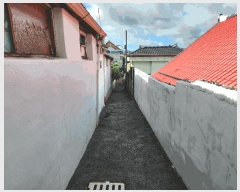  2025Ÿ��4570 ���� ���� ����� 164-11       ���ð��