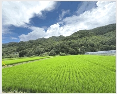  2025Ÿ��4792  ����