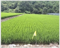  2025Ÿ��4792  ����