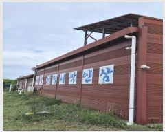  2025Ÿ��4907  ���(�󰡽ü�)���