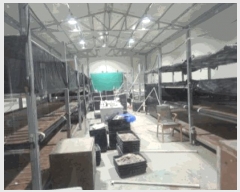  2025Ÿ��4907  ���(�󰡽ü�)���